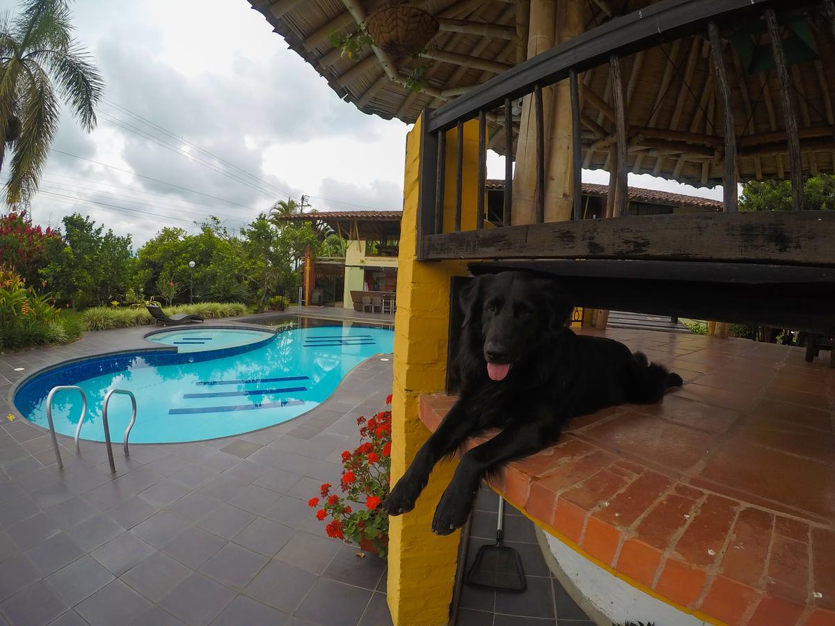 Finca Hotel La Quinta Porra Armenia  Εξωτερικό φωτογραφία